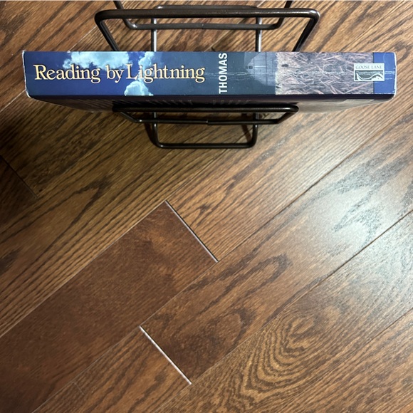 4 books for $16 - READING BY LIGHTNING by Joan Thomas - Picture 2 of 4